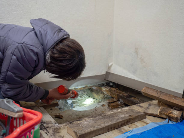 Best Airborne Mold Testing  in Brass Castle, NJ