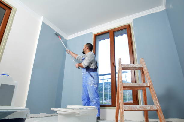 Best Attic Mold Removal  in Brass Castle, NJ
