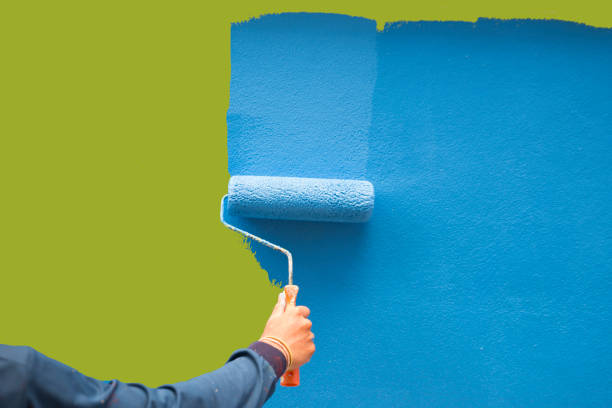 Brass Castle, NJ Mold Removal Company