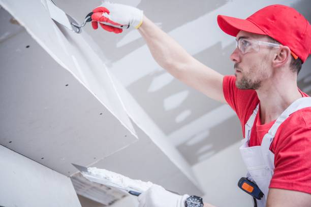 Best Black Mold Removal  in Brass Castle, NJ